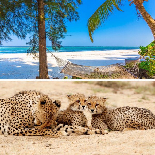 Read more about the article Bar Mitzvah trip – African Safari & Beach Holidays